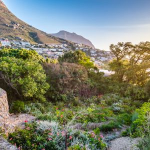 Indigenous garden; LIERMANS VILLAs - Llandudno